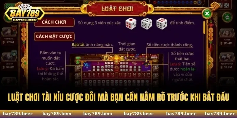 Luật chơi Tài Xỉu cược đôi mà bạn cần nắm rõ trước khi bắt đầu