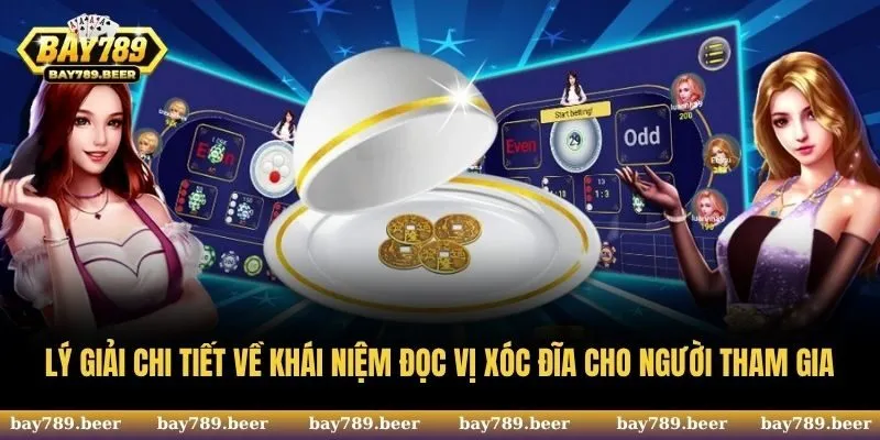 Lý giải chi tiết về khái niệm đọc vị Xóc Đĩa cho người tham gia