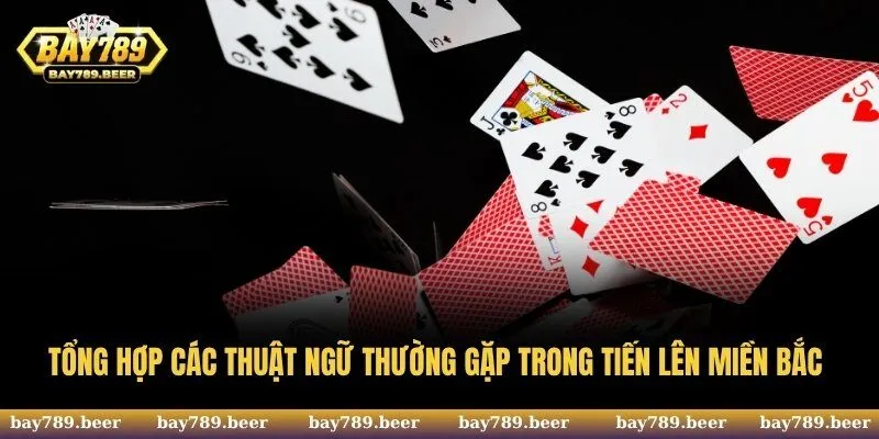 Tổng hợp các thuật ngữ thường gặp trong tiến lên miền Bắc